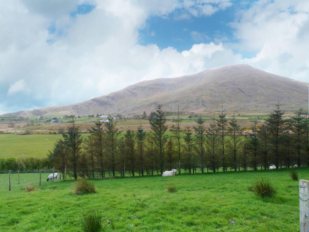 Property image 9 for HC278699