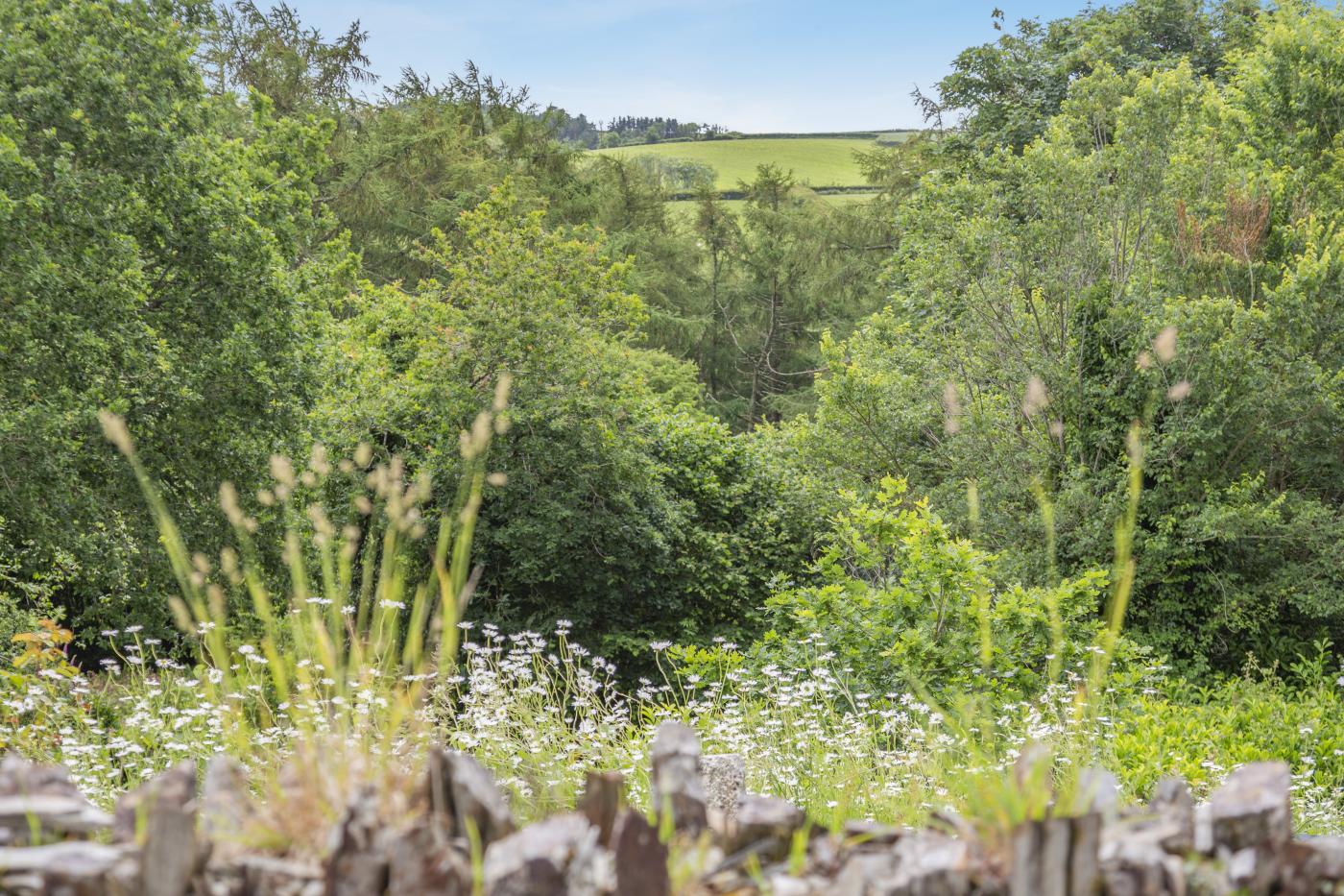 Property image 28 for HC277524