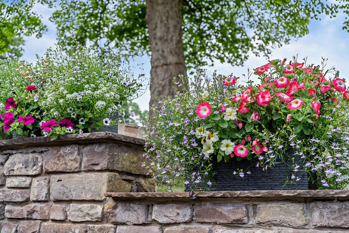 Property image 14 for HC47886