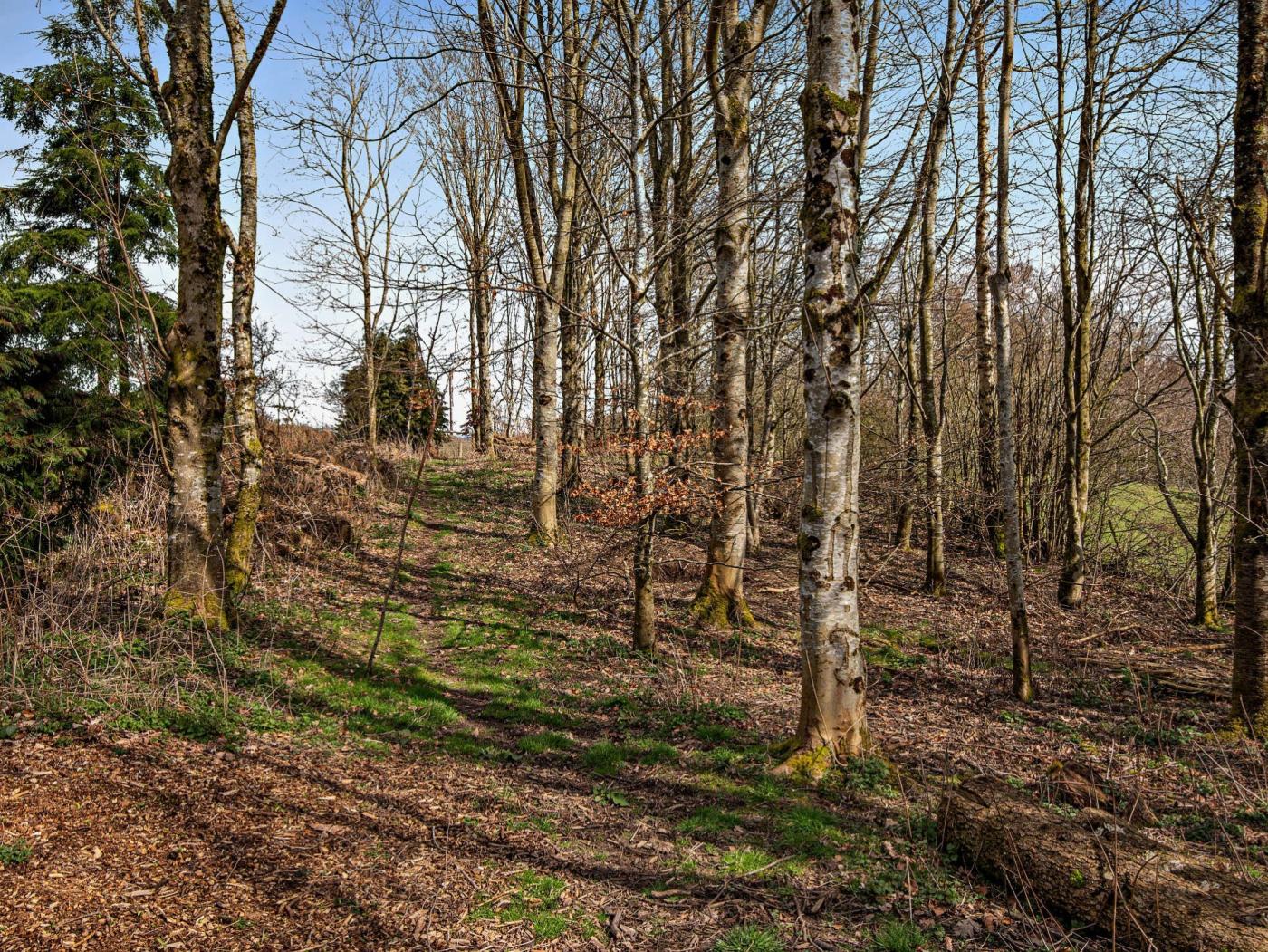 Property image 28 for HC90375