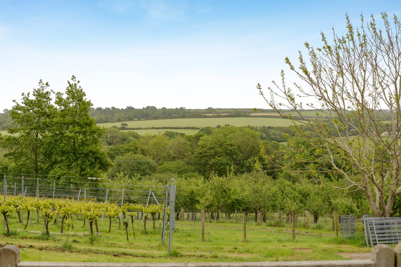 Property image 7 for HC292639