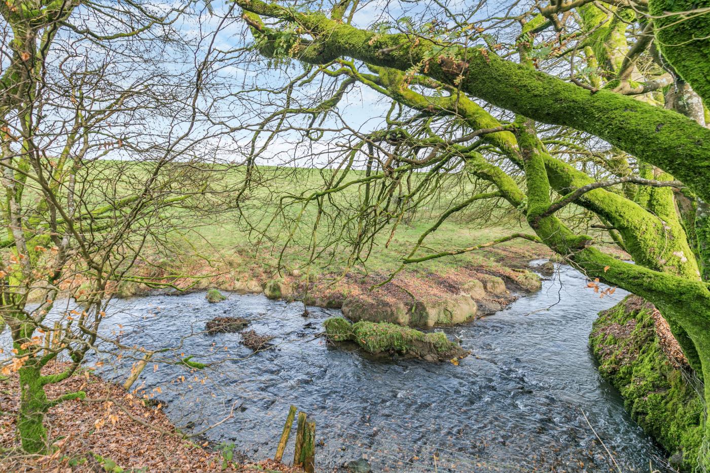 Property image 18 for HC278833