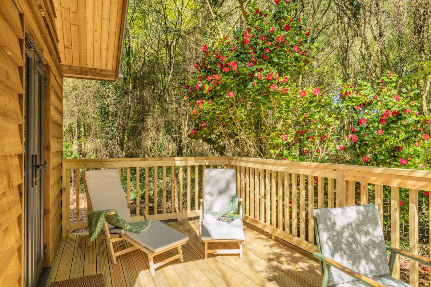 Property image 3 for HC291749