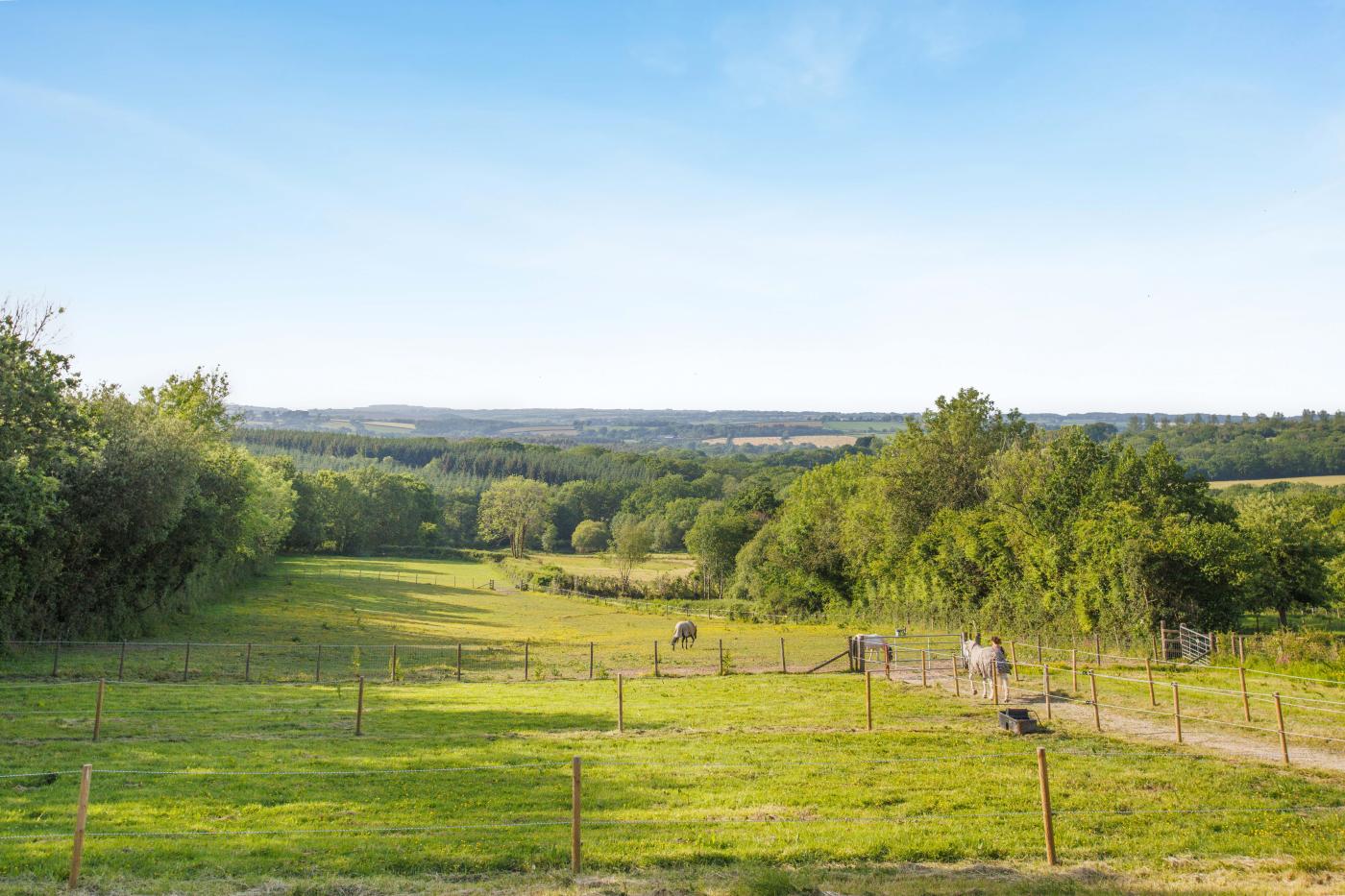 Property image 30 for HC284984