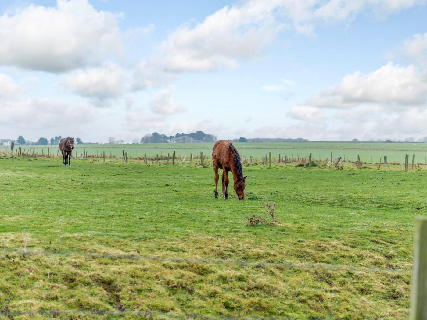 Property image 14 for HC80488