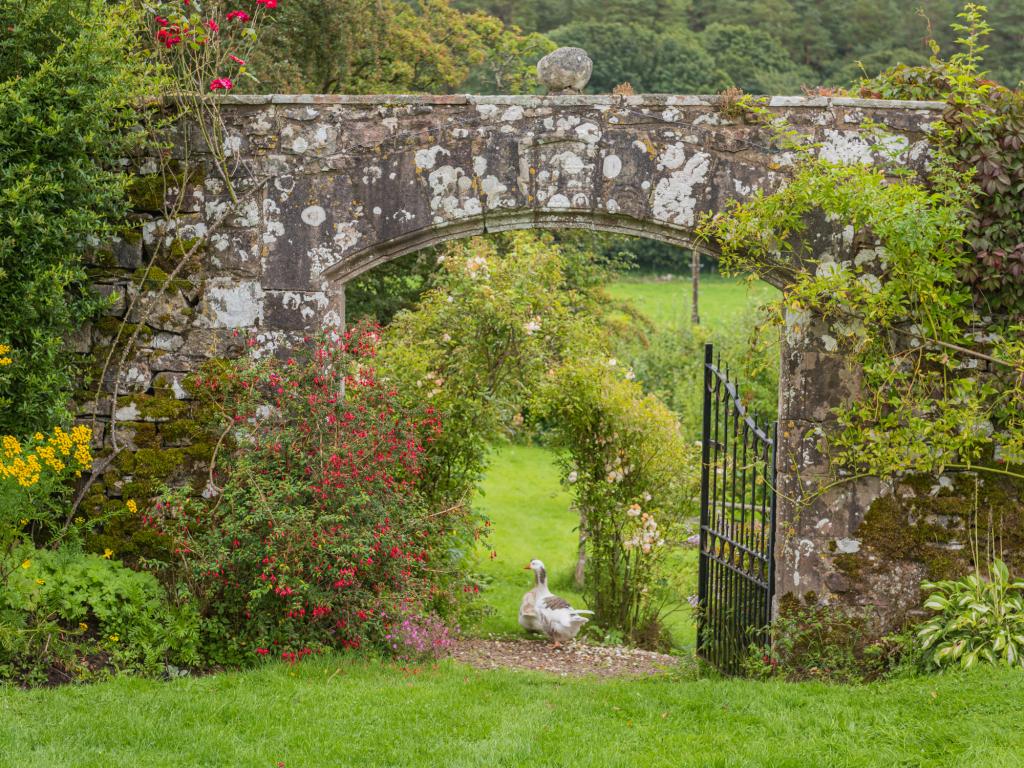 Property image 11 for HC84502