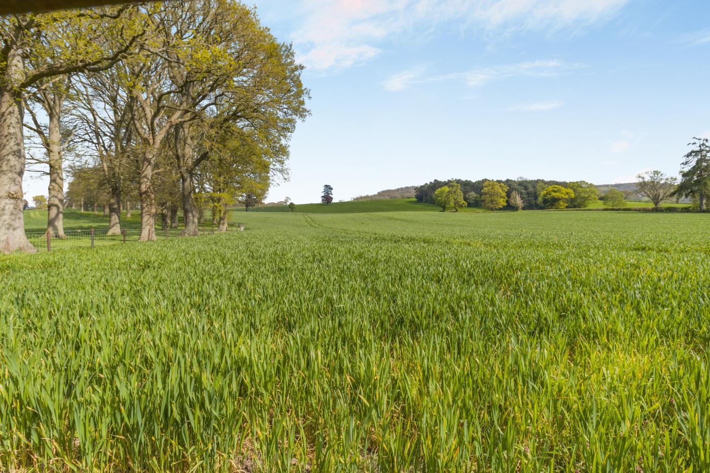 Property image 5 for HC79845
