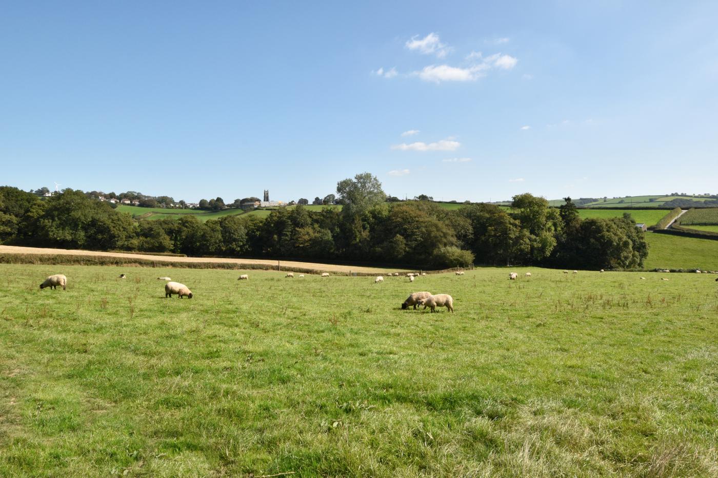 Property image 24 for HC264539