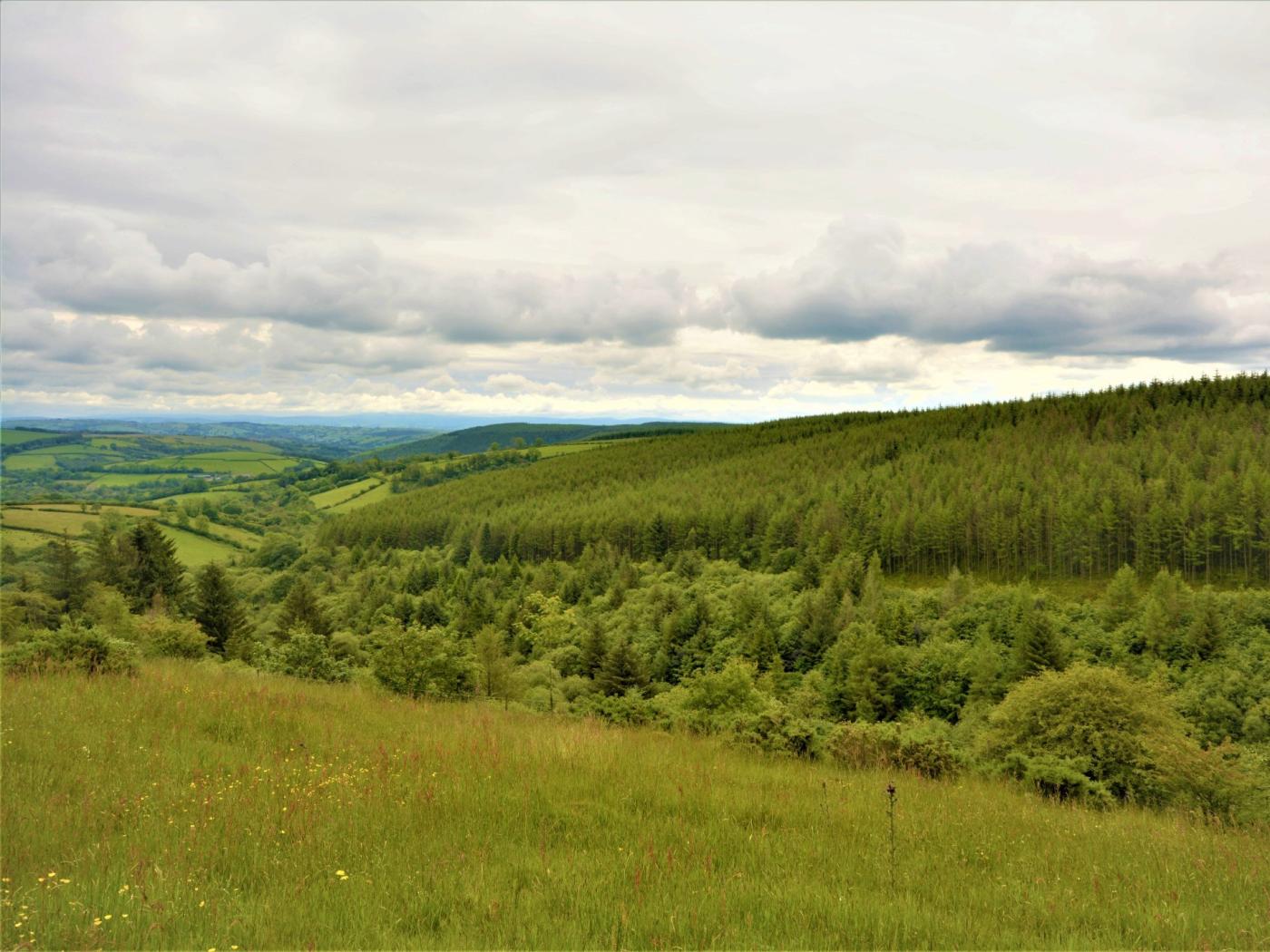 Property image 26 for HC55903