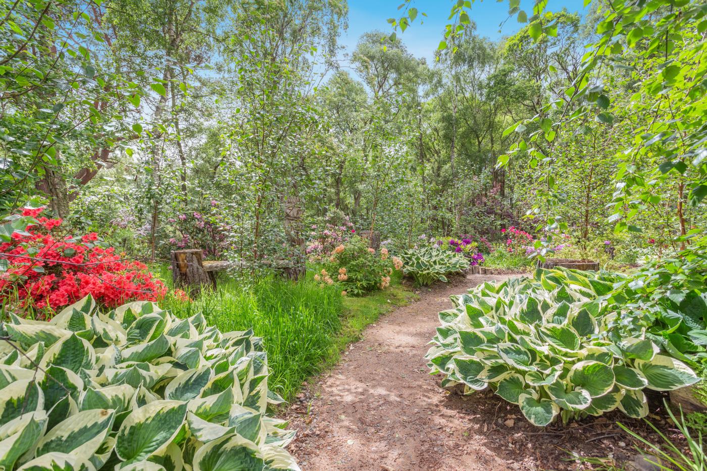 Property image 6 for HC289499