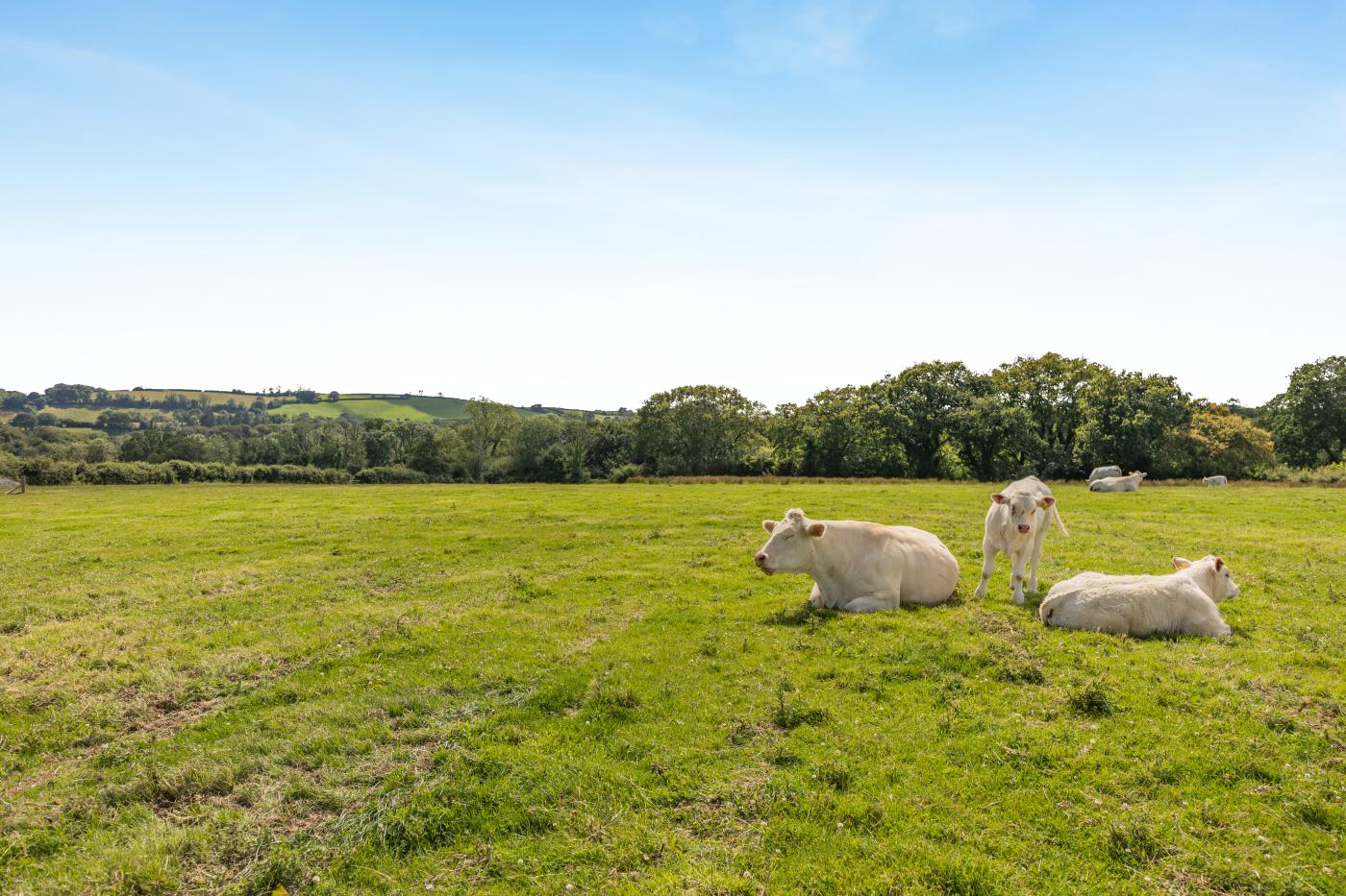 Property image 3 for HC295350