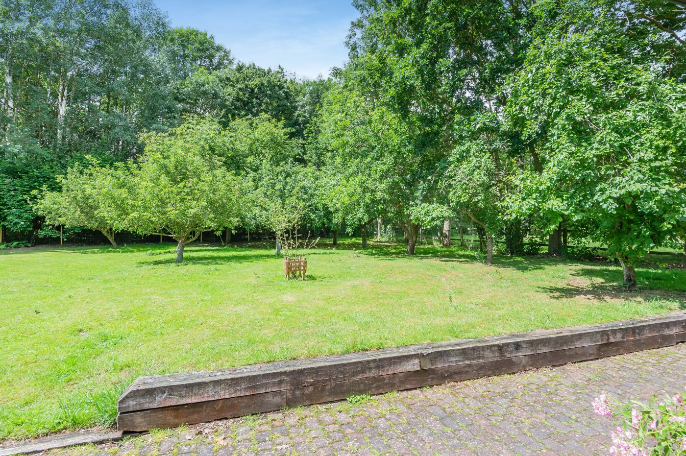 Property image 12 for HC277628