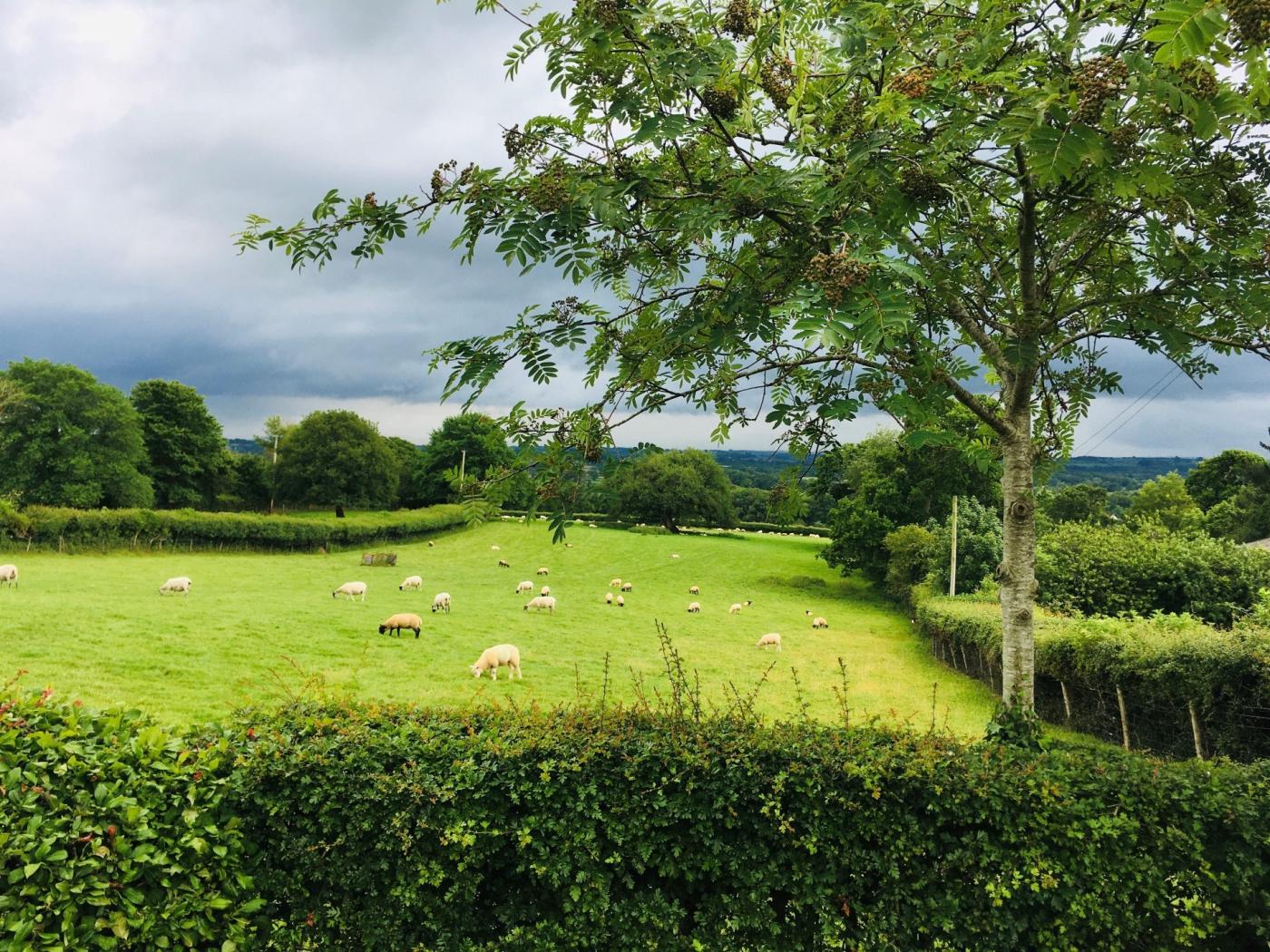 Property image 12 for HC78087