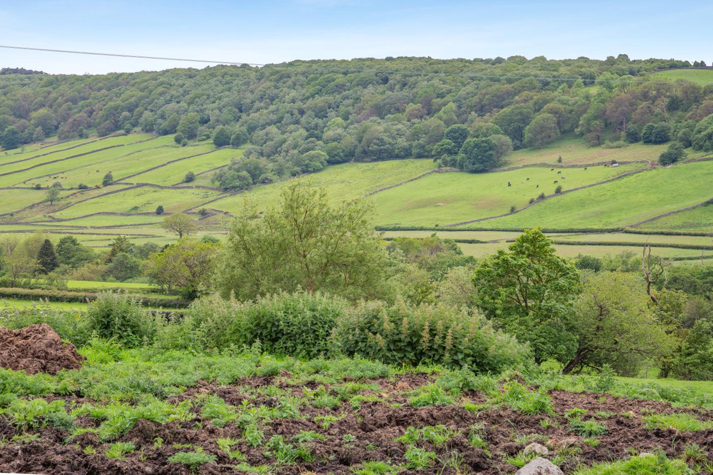 Property image 24 for HC255661
