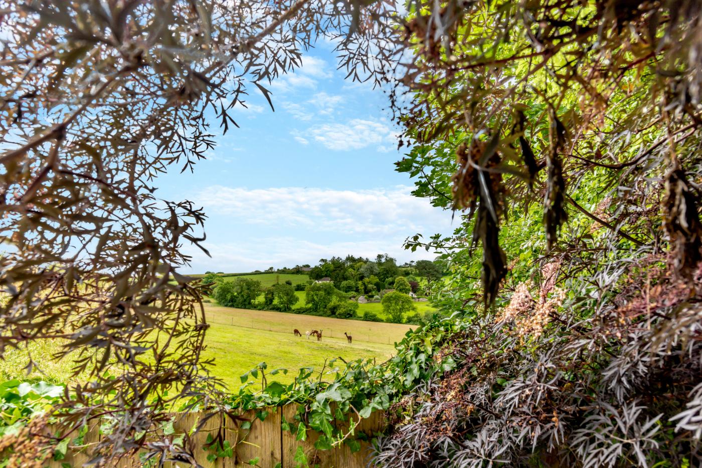 Property image 16 for HC279702