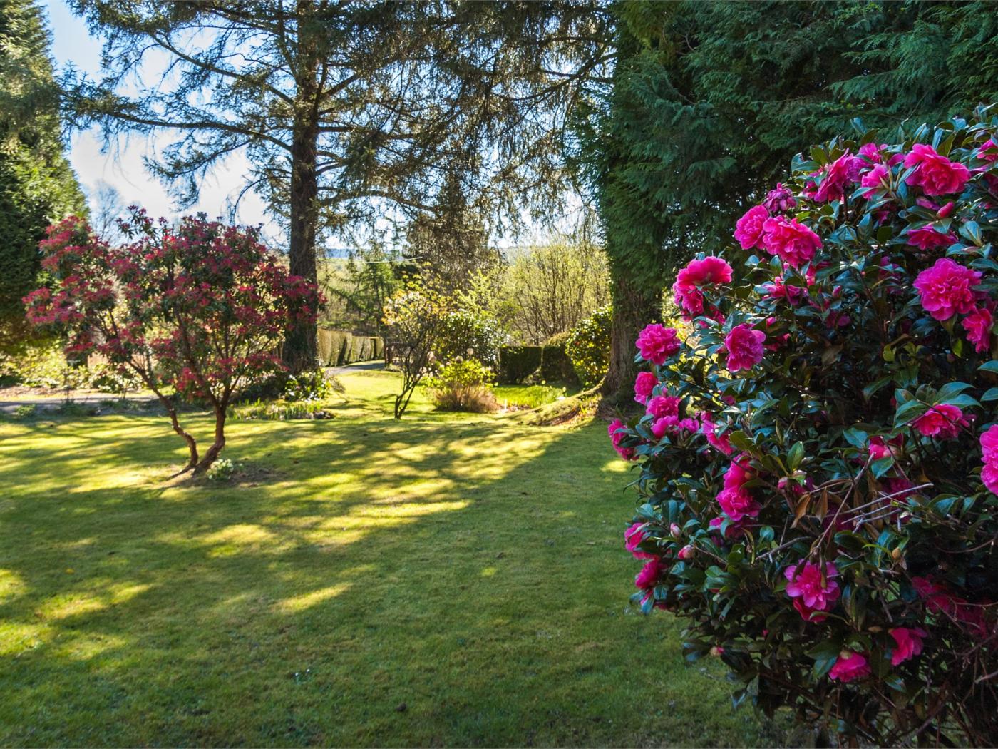 Property image 6 for HC79862