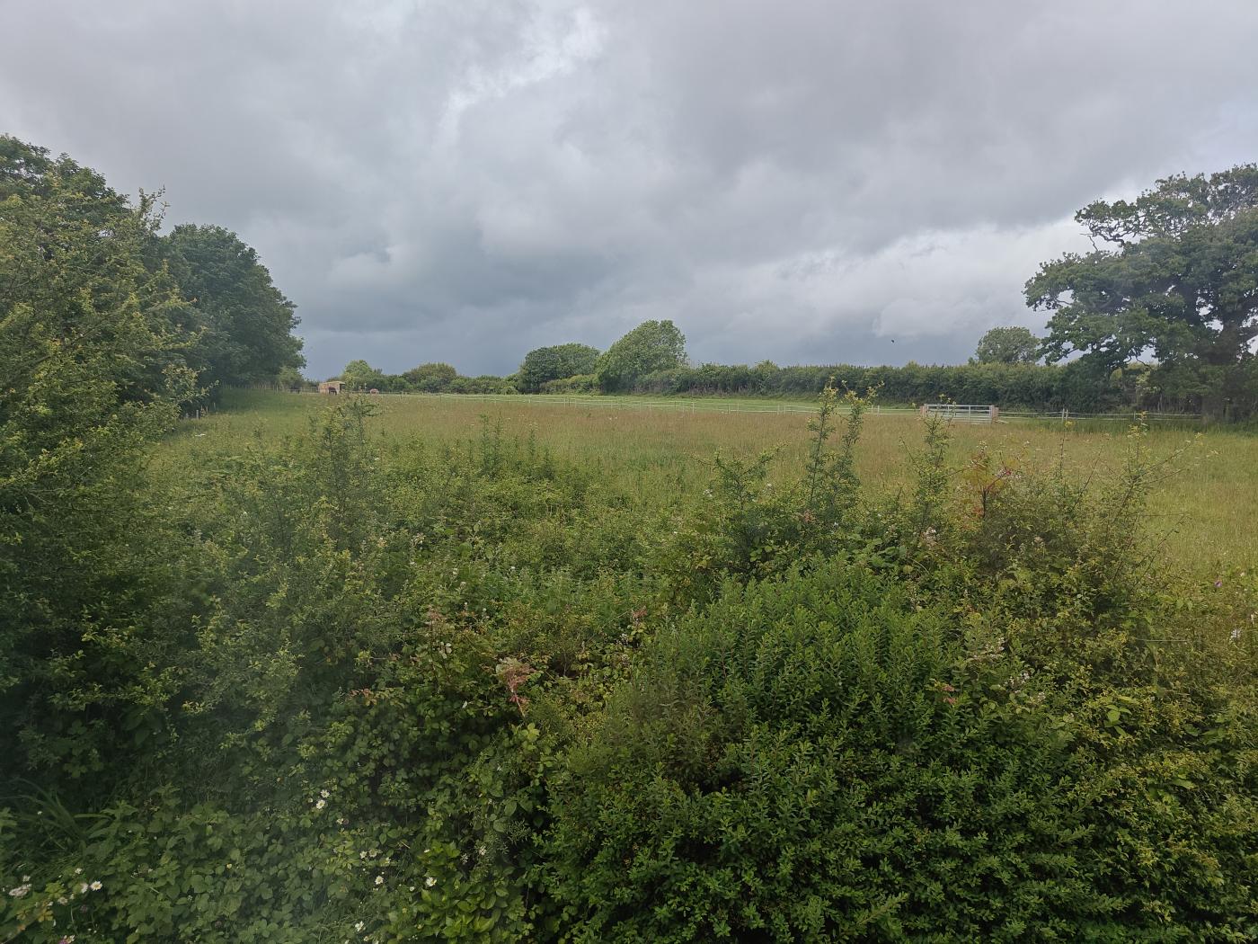 Property image 14 for HC293307