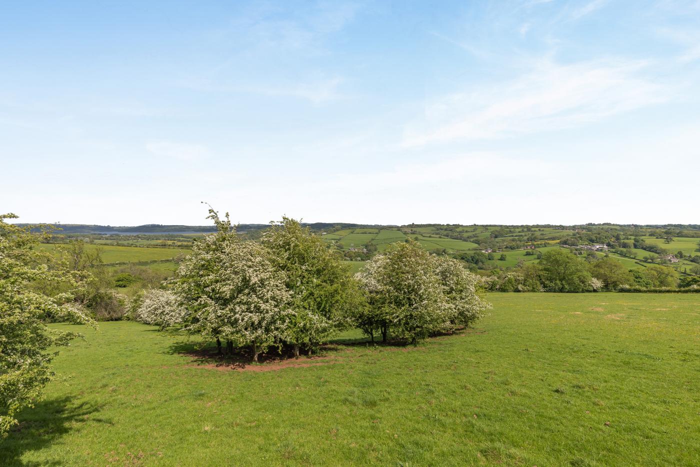 Property image 19 for HC284763
