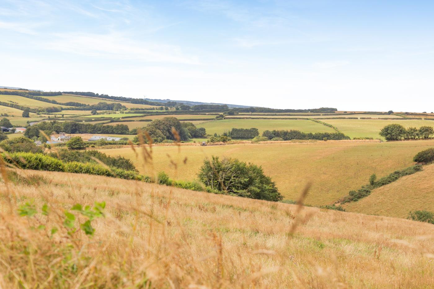 Property image 8 for HC295342