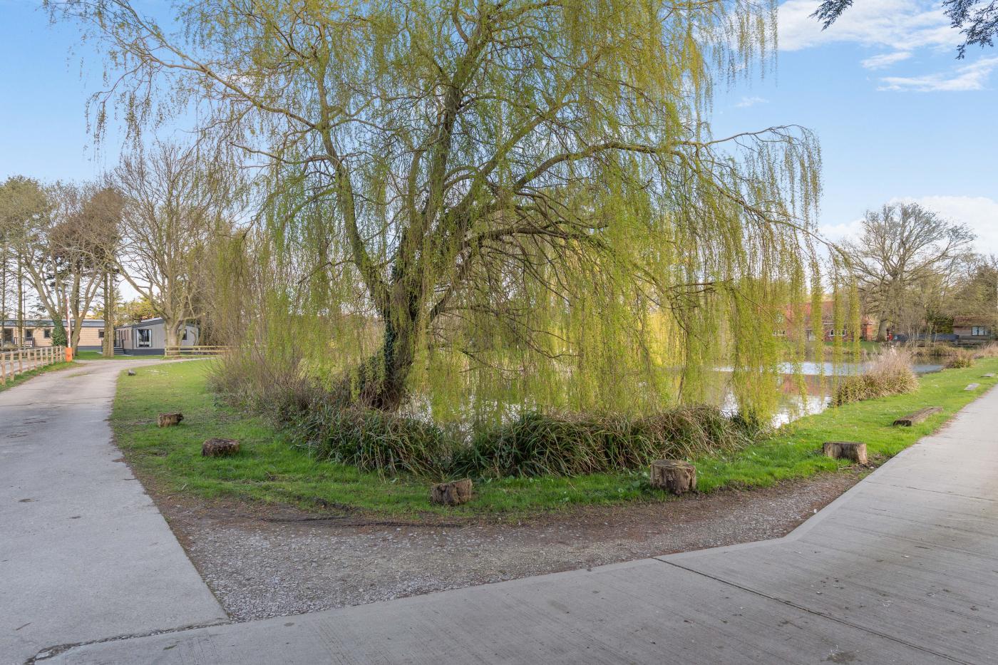 Property image 21 for HC289068