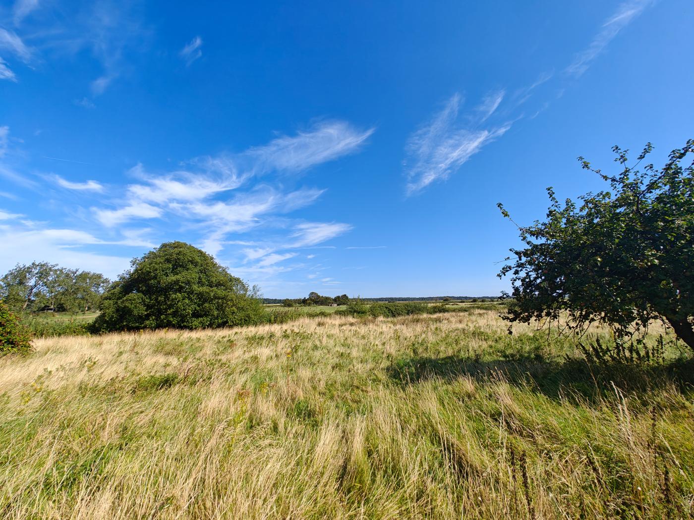 Property image 3 for HC292475