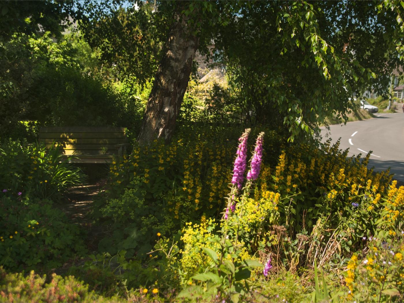 Property image 12 for HC79962