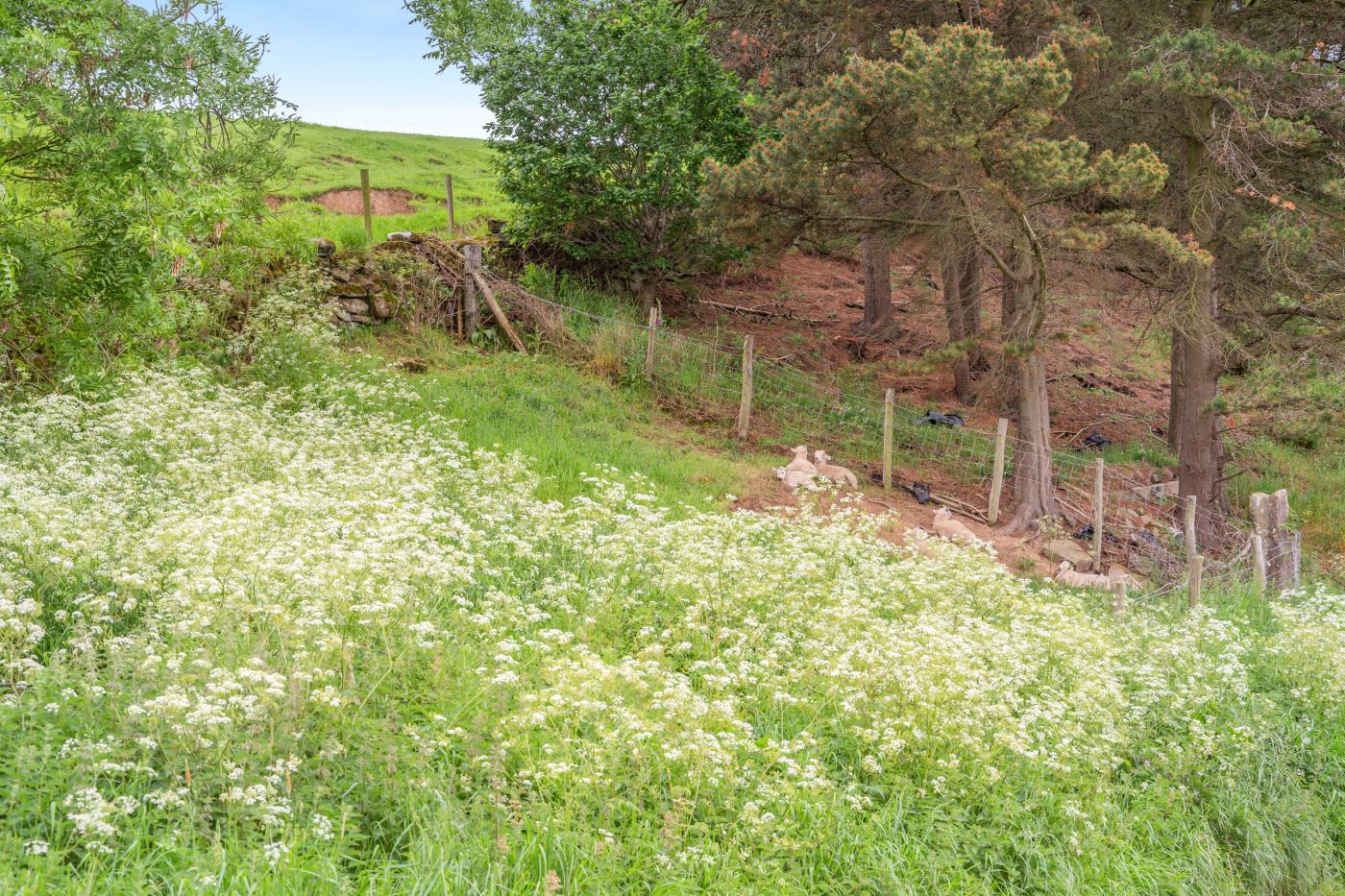Property image 25 for HC255661