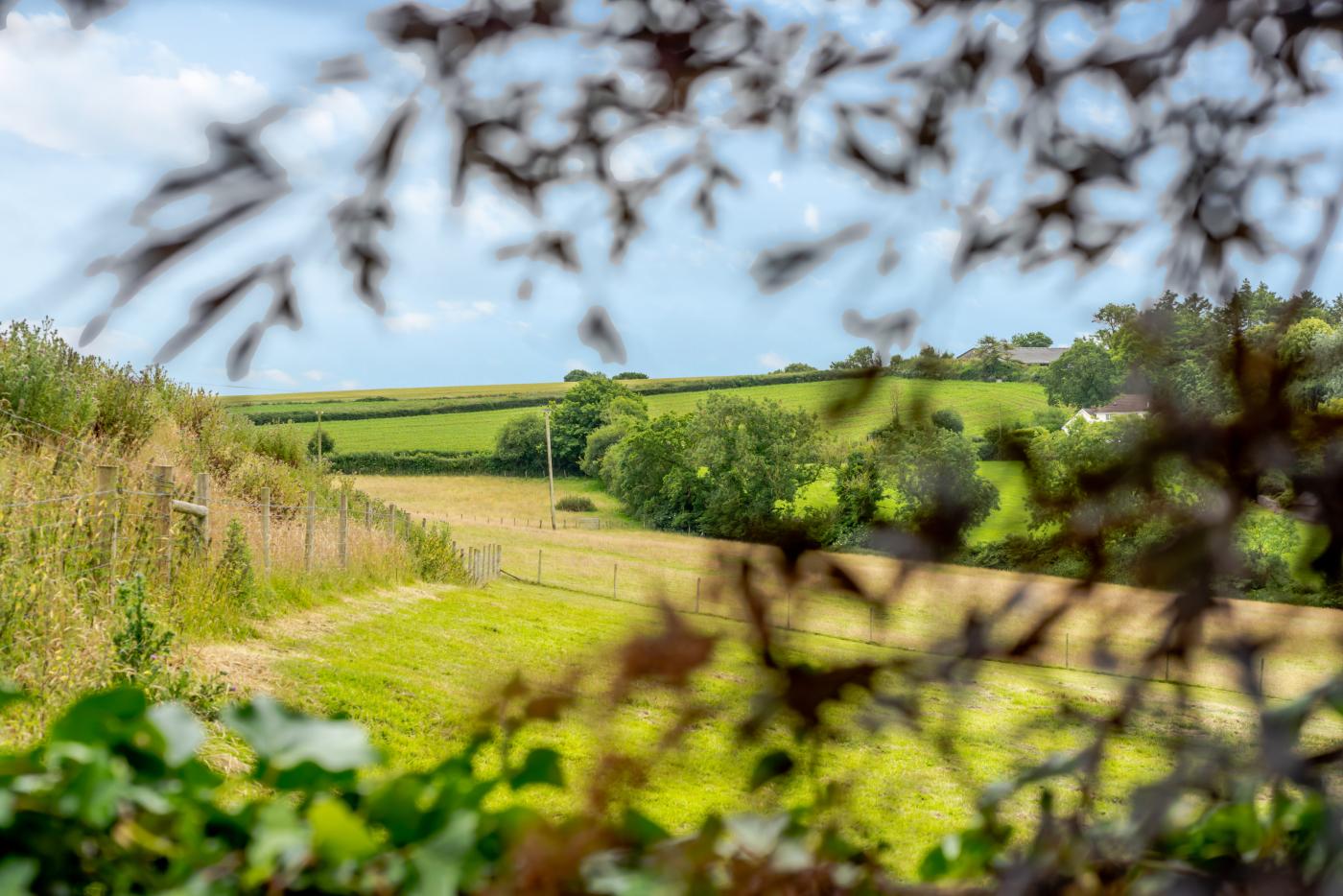 Property image 4 for HC279701