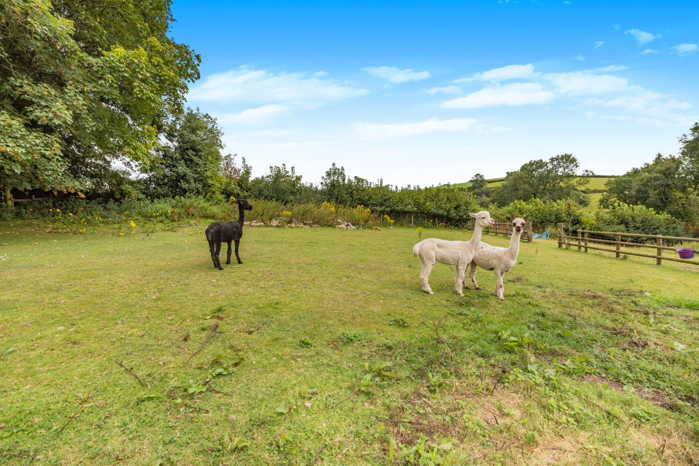 Property image 25 for HC279908