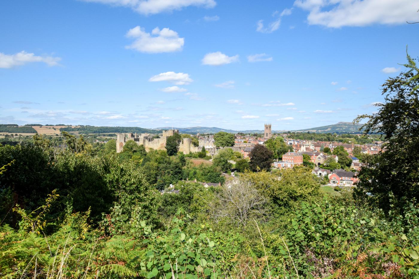 Property image 25 for HC281830