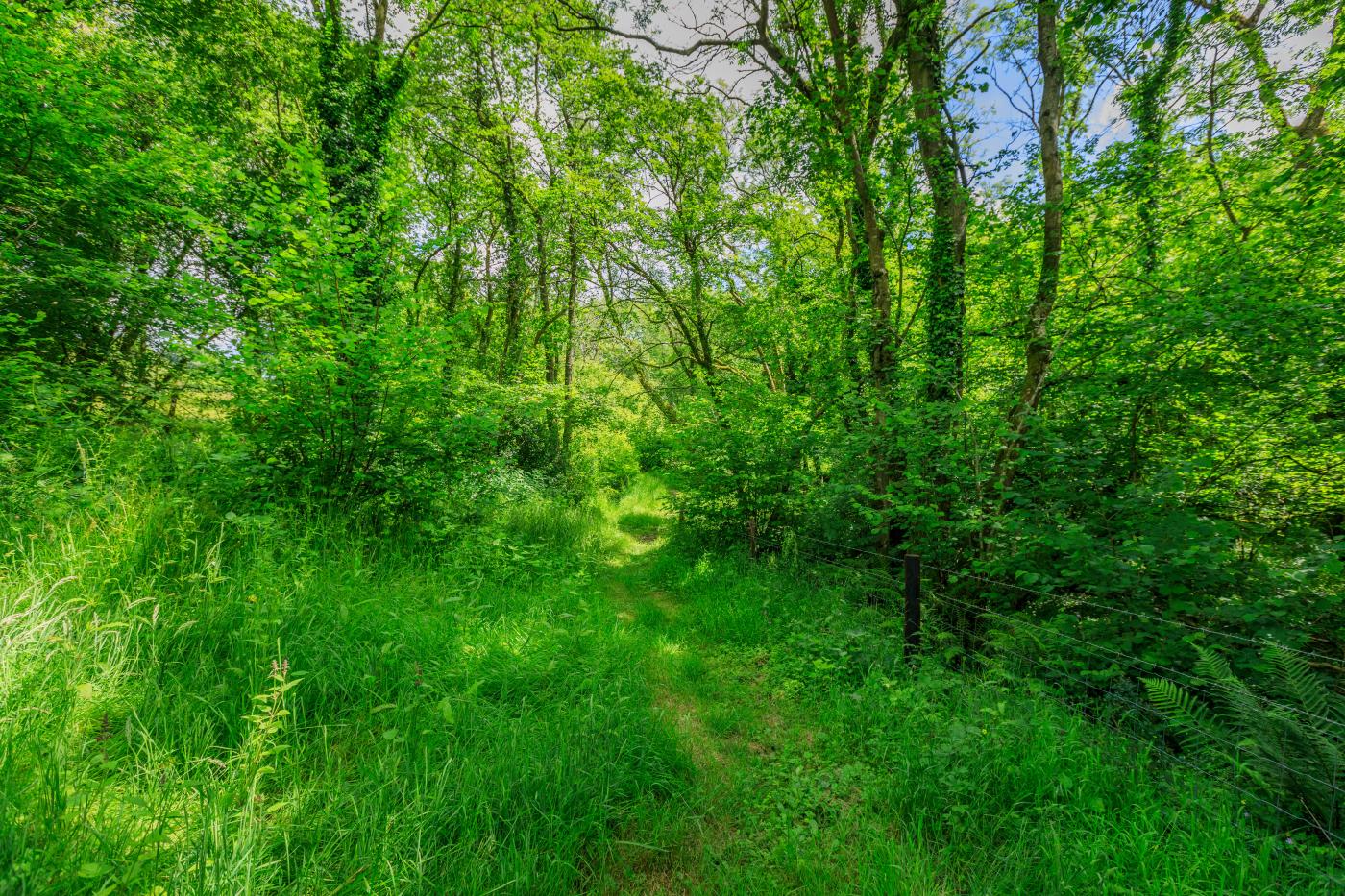 Property image 20 for HC279519