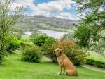 Near Sawrey, Cumbria