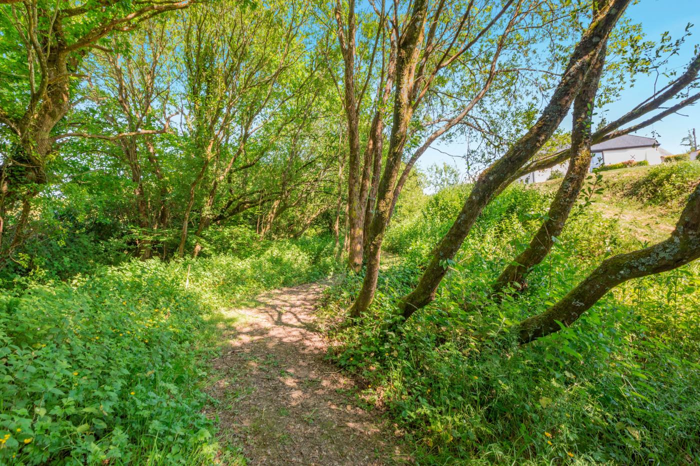Property image 30 for HC292476