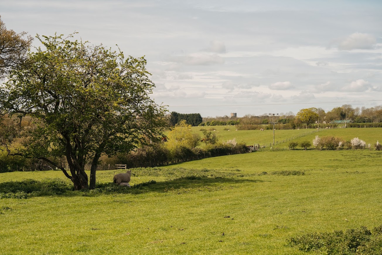 Property image 8 for HC292689