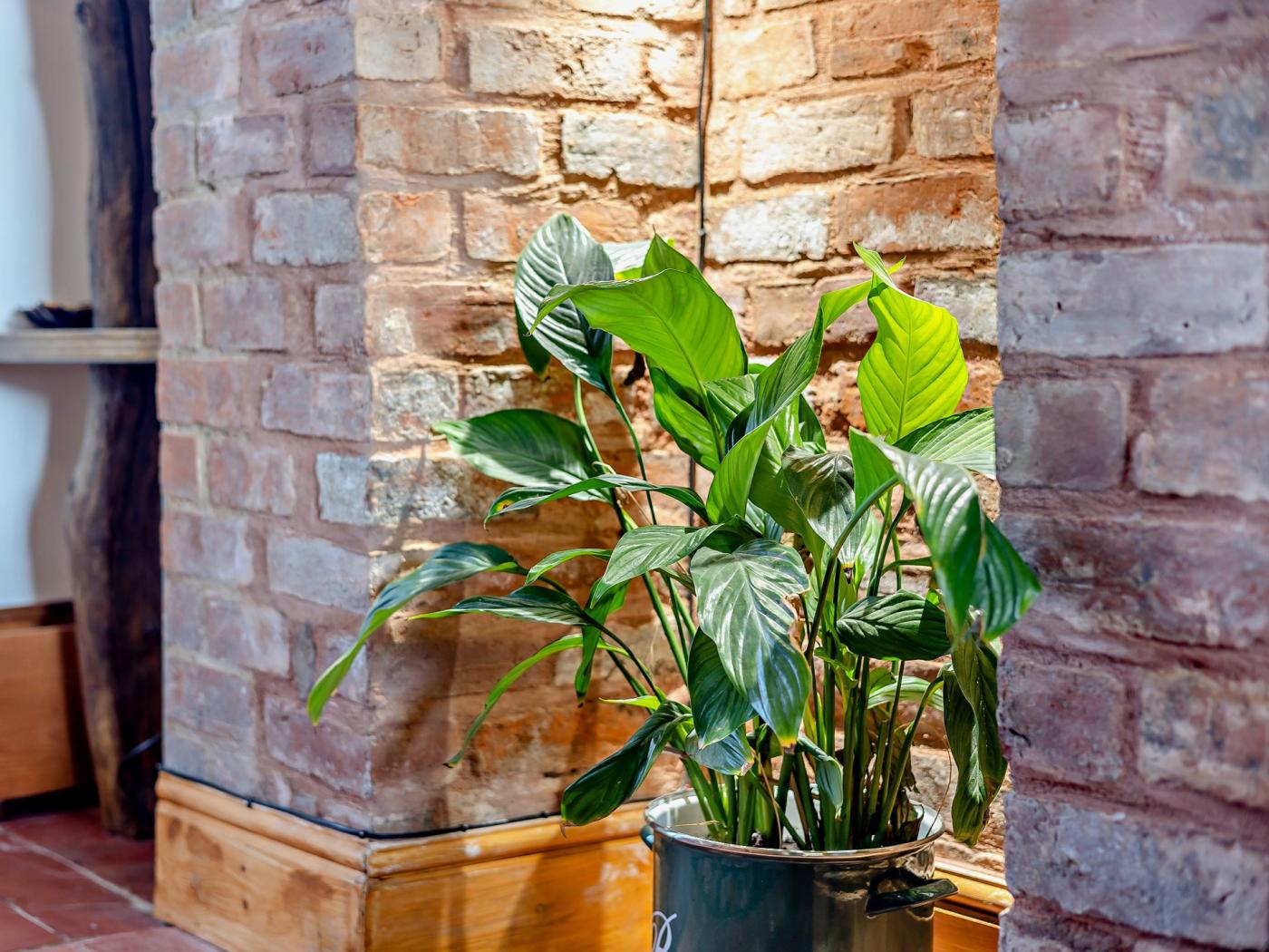Property image 8 for HC94665