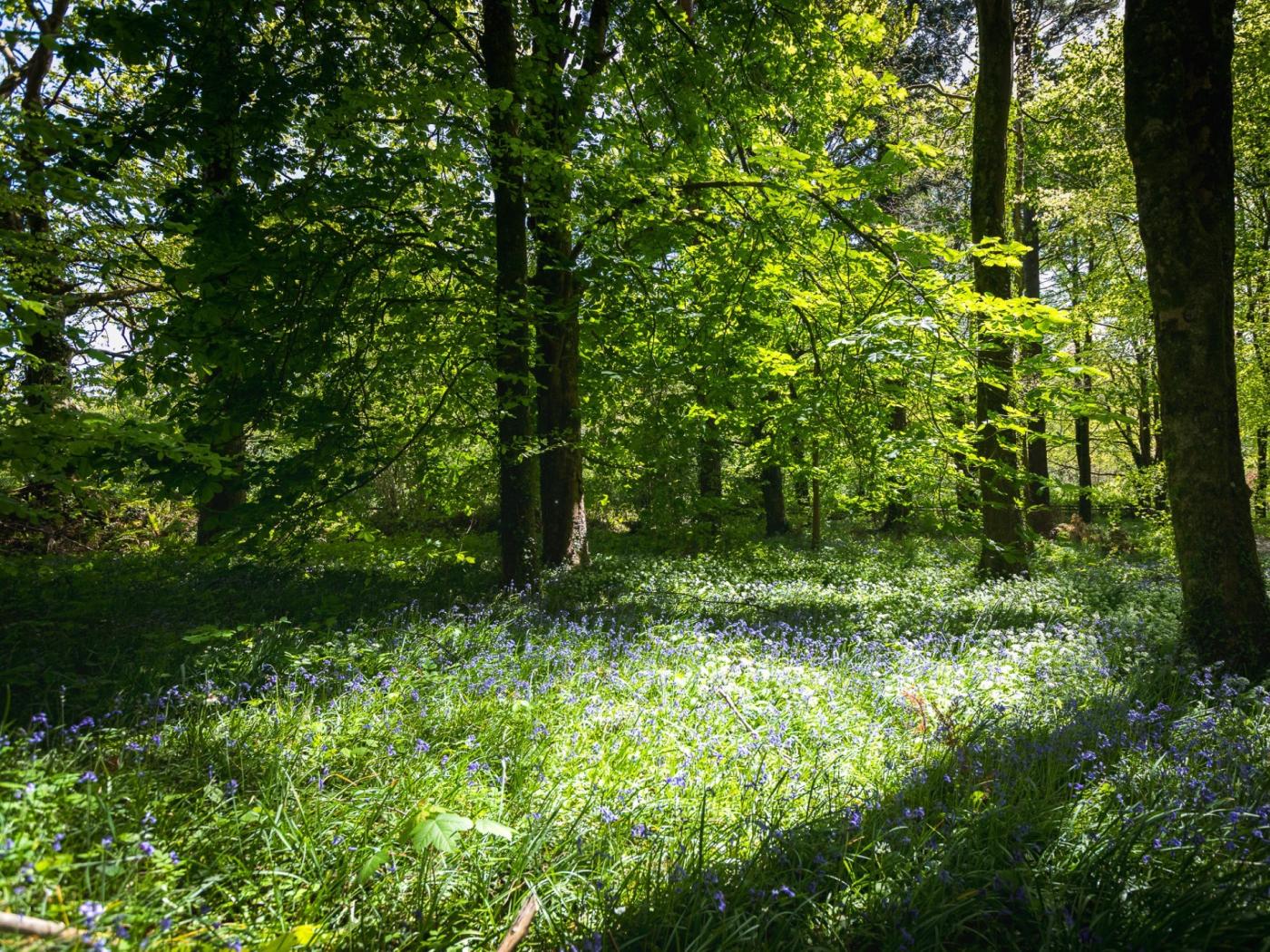 Property image 12 for HC96362