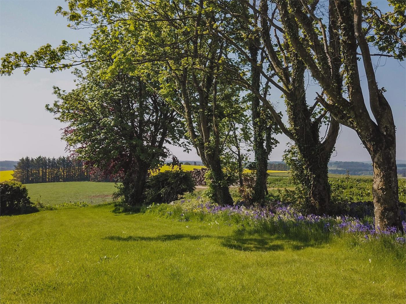 Property image 23 for HC76167