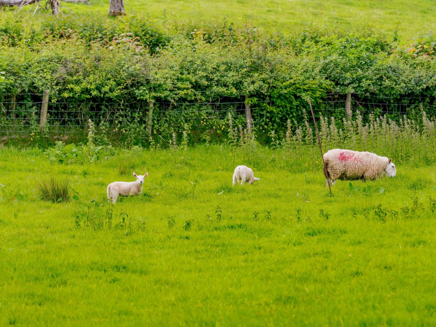 Property image 24 for HC79820