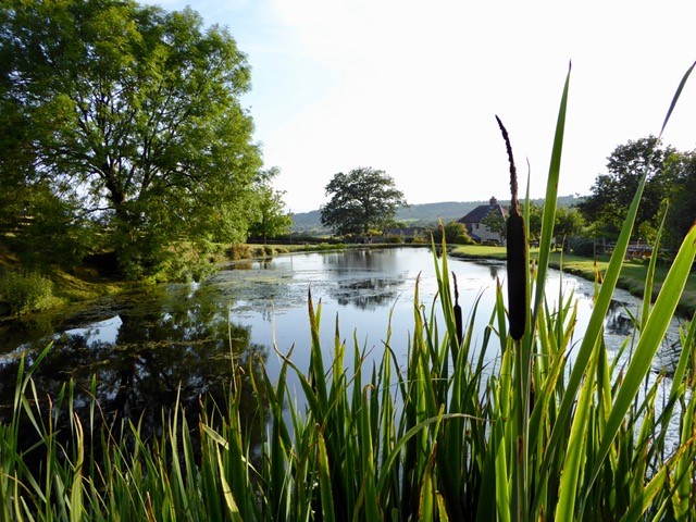 Property image 29 for HC278828