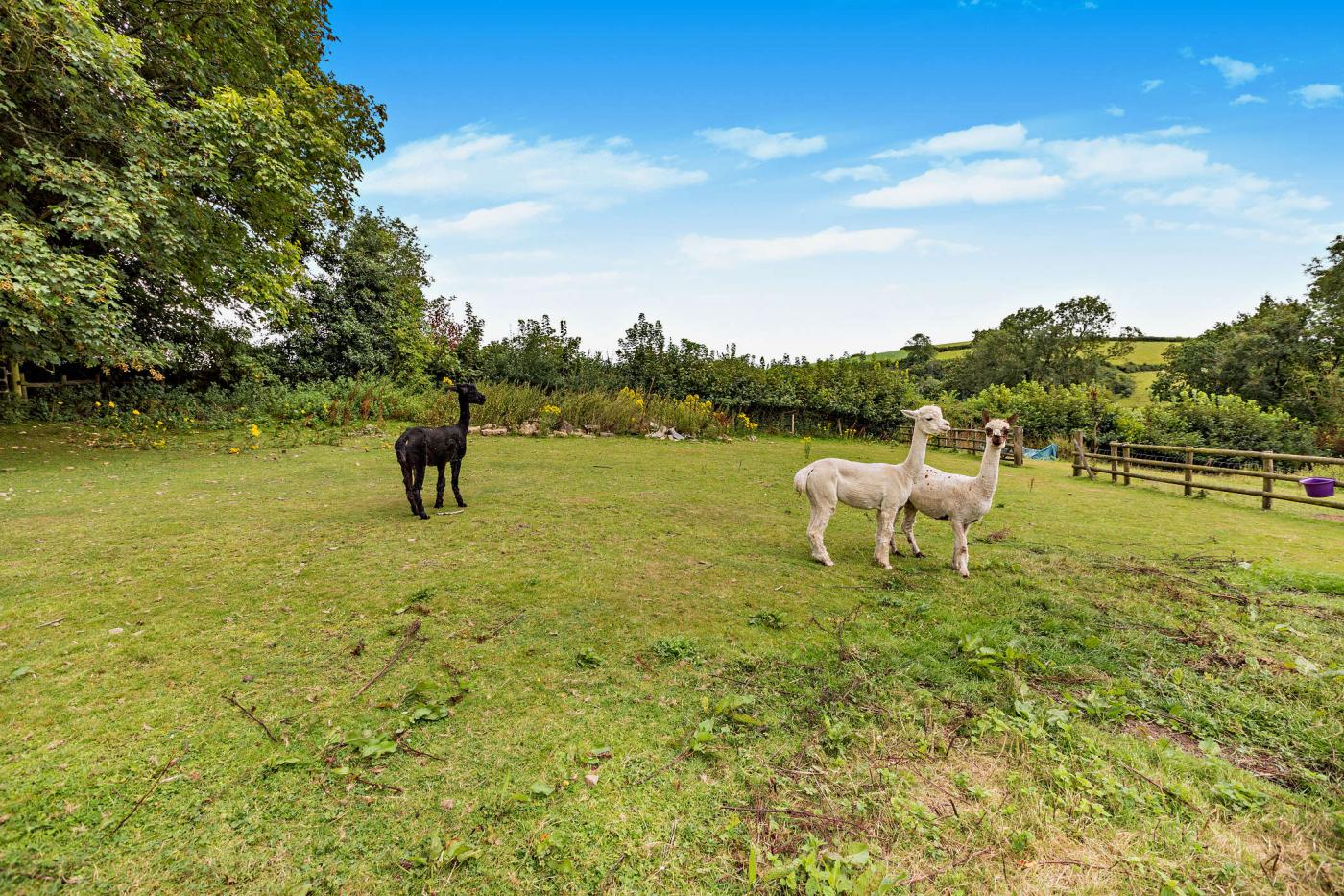 Property image 24 for HC279913