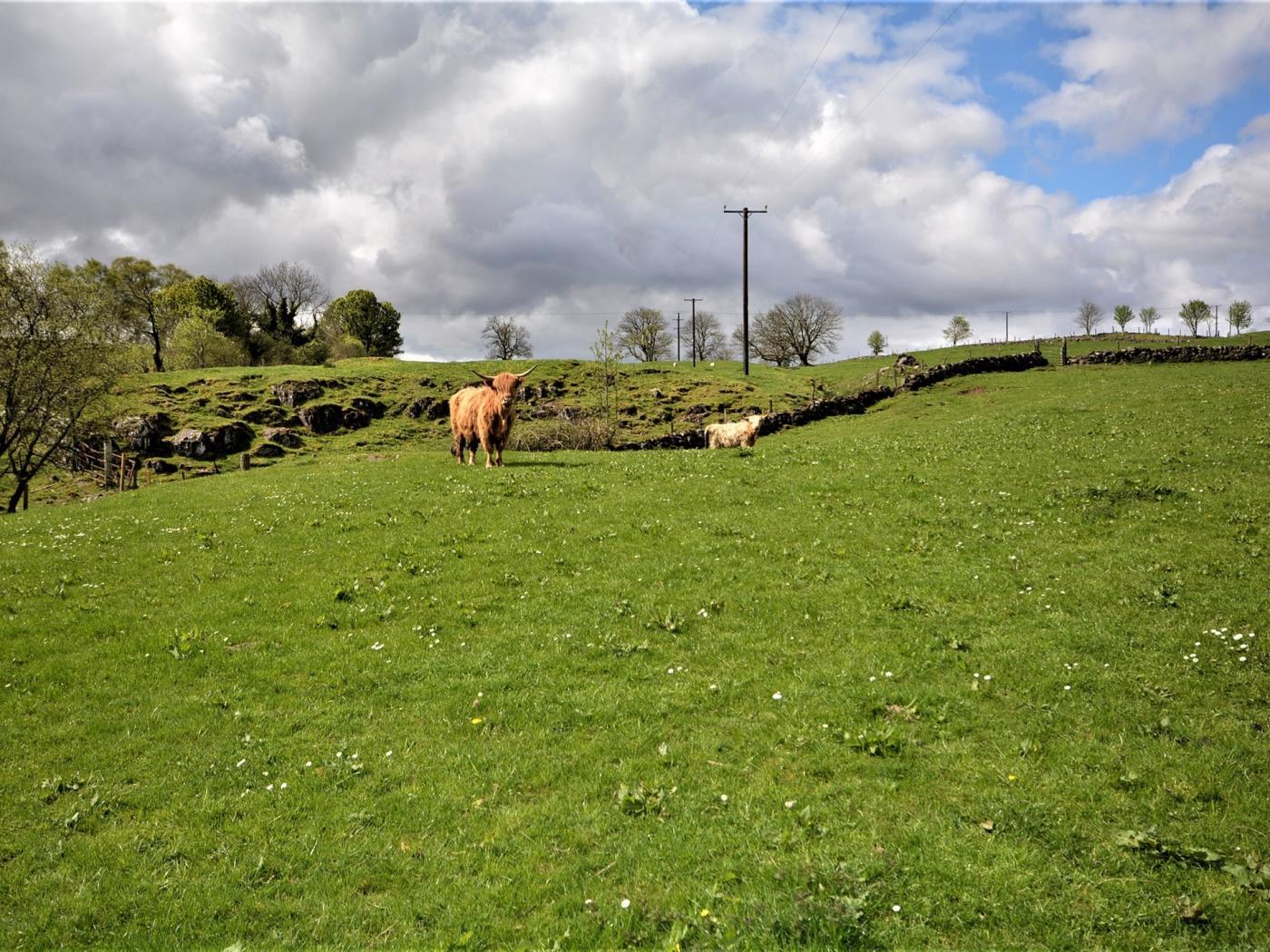 Property image 19 for HC55854