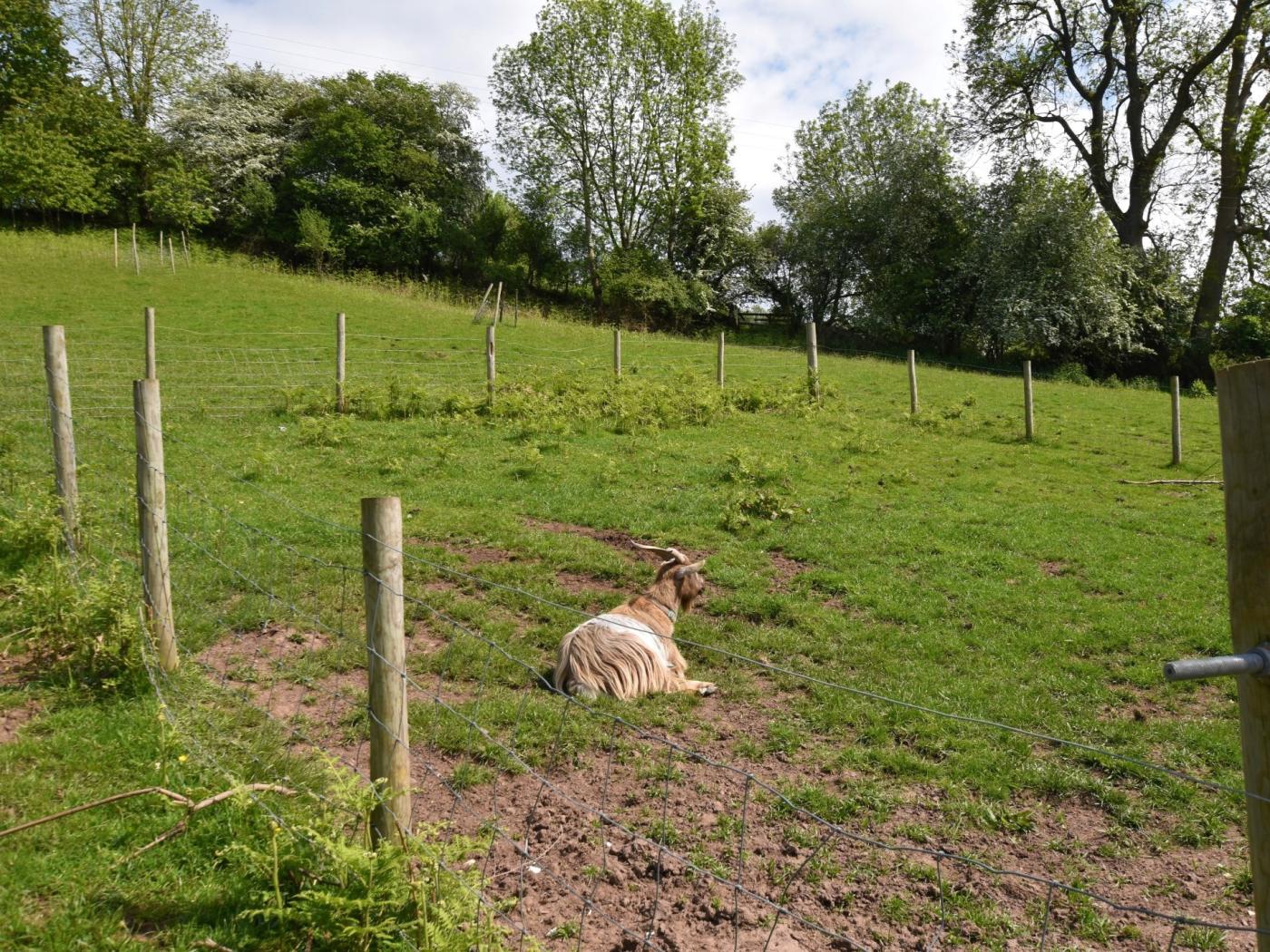 Property image 25 for HC79920