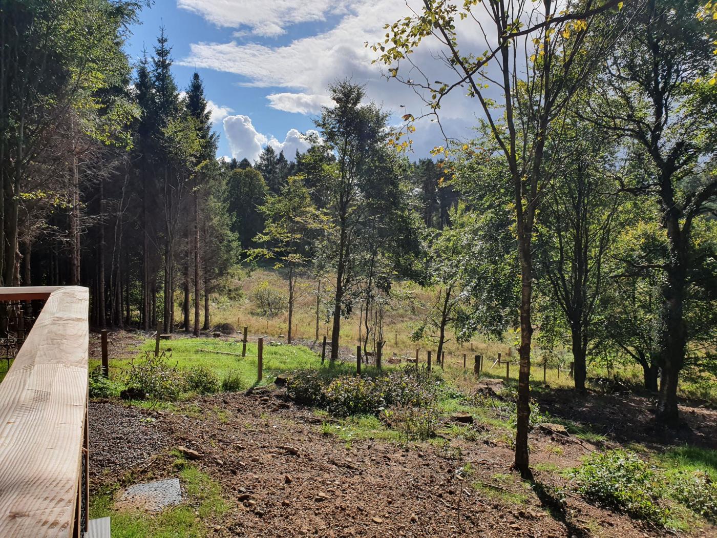 Property image 12 for HC296305