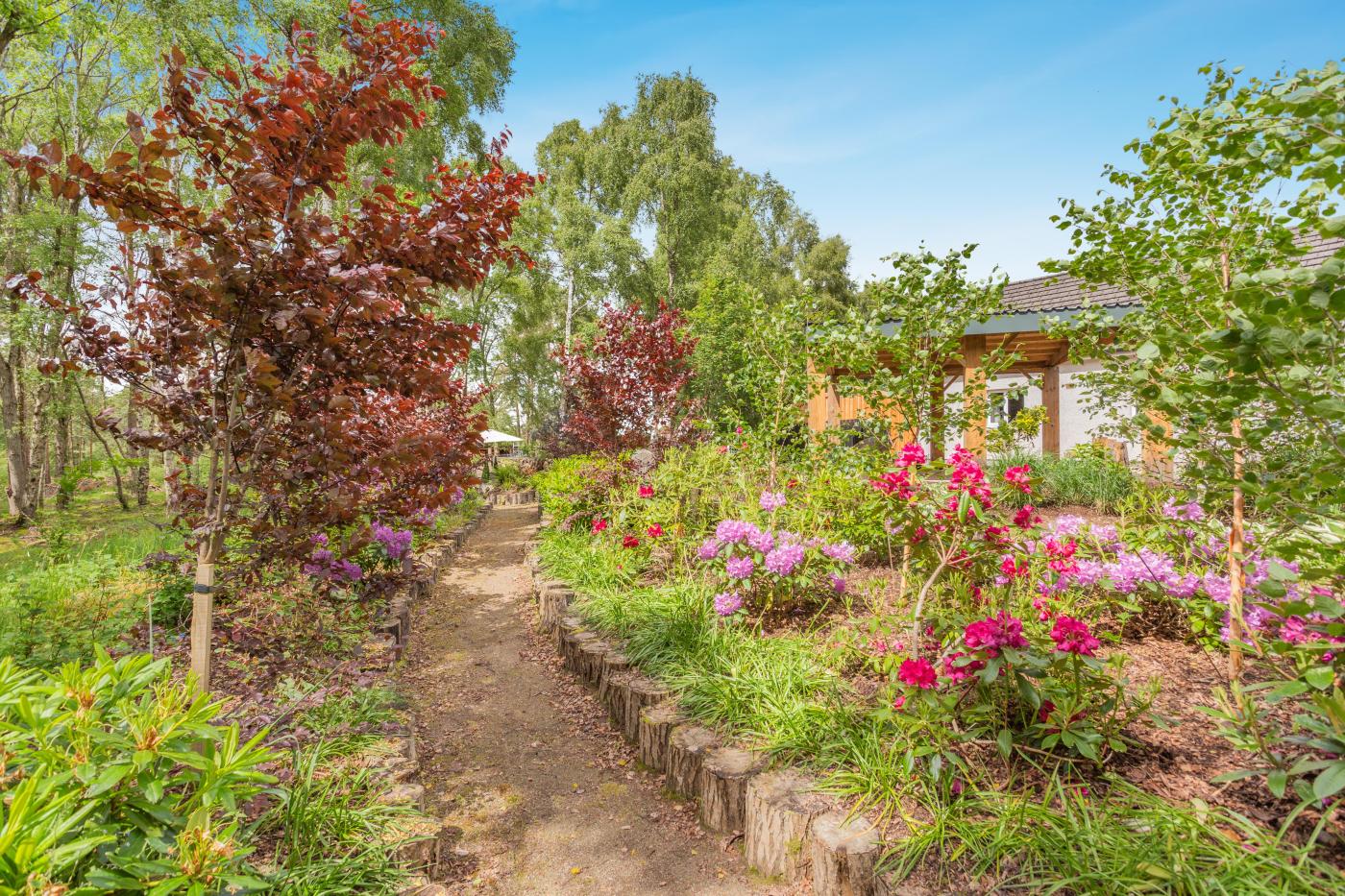 Property image 9 for HC289499