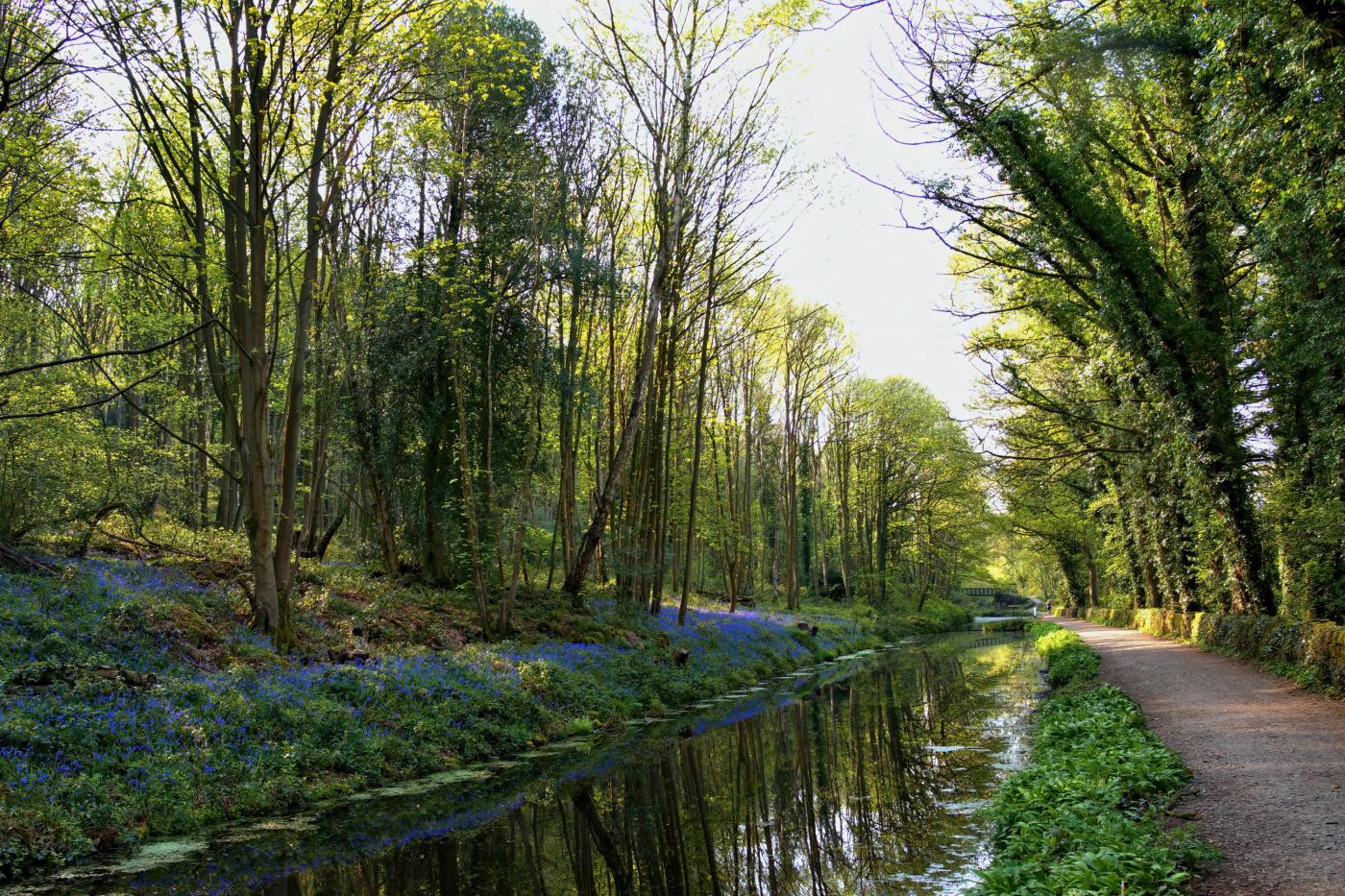 Property image 15 for HC292743