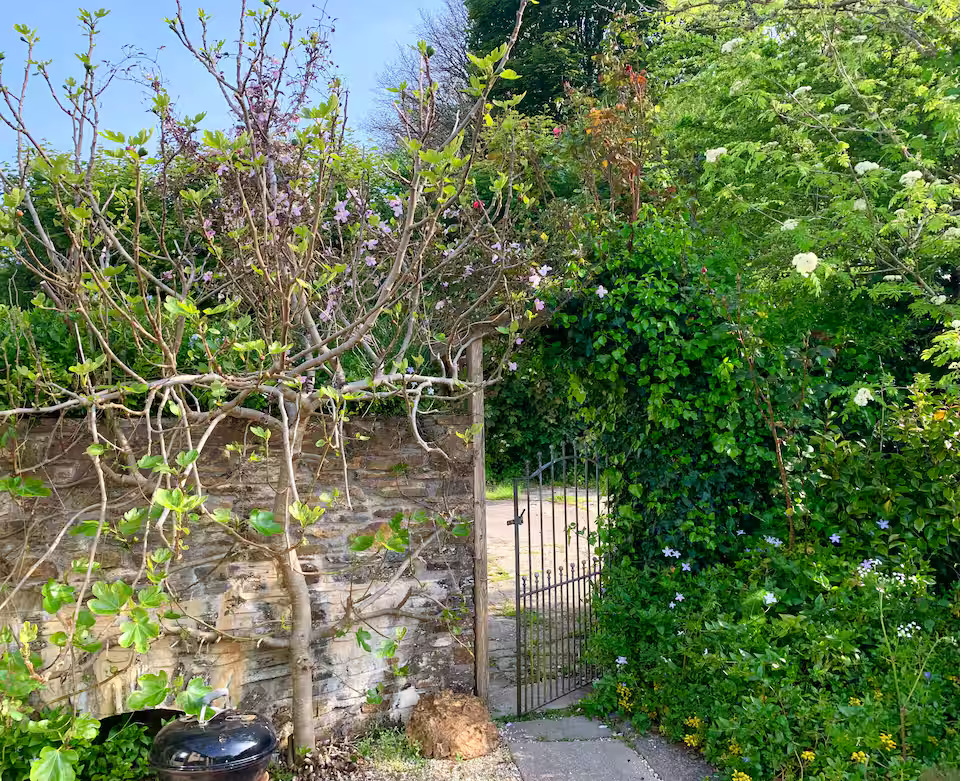 Property image 10 for HC294748
