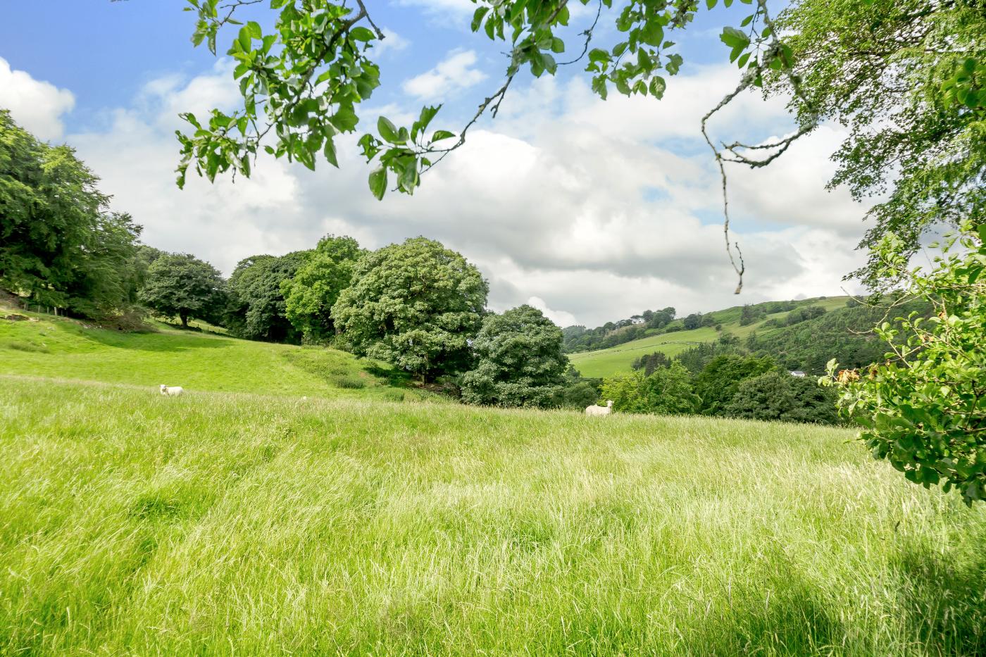 Property image 12 for HC264341