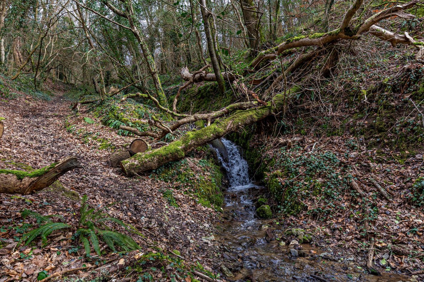 Property image 21 for HC278121