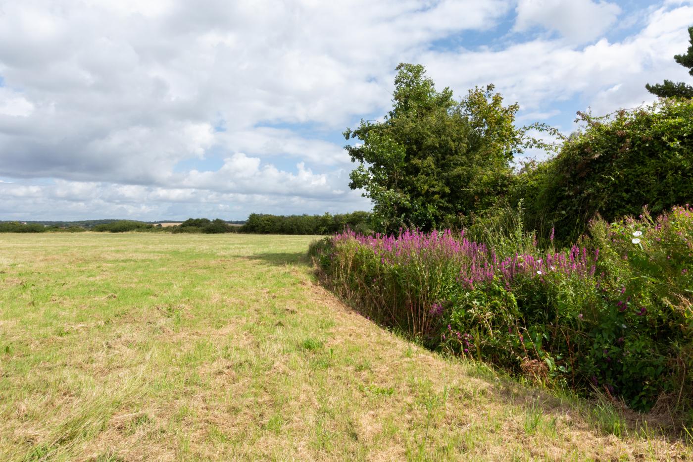 Property image 18 for HC254419