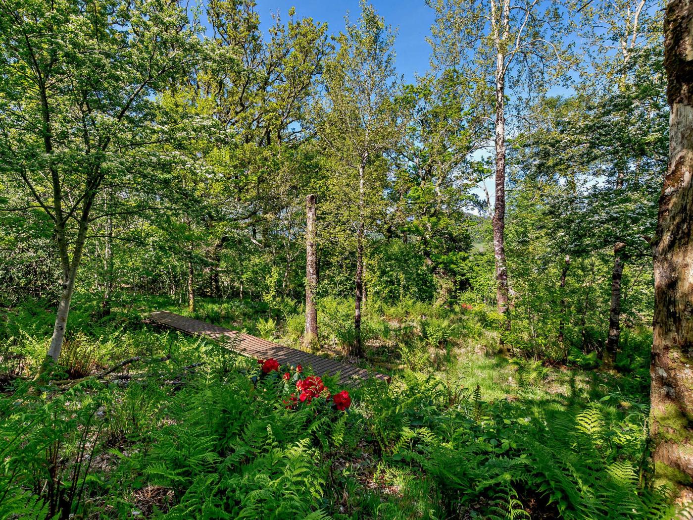 Property image 22 for HC84184